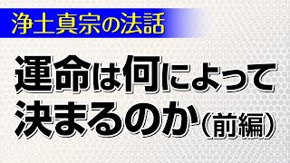 【浄土真宗の法話】運命の仕組みが分かる仏教の教え「因果の道理」（前編）講師：古谷敦代師｜親鸞会