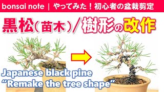 【苗木で作る】黒松盆栽の樹形改作！半懸崖から模様木へ／2021.2｜Japanese black pine “Remake the tree shape”／bonsai