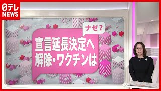 【解説】「新型コロナ」“ワクチン接種”が遅れる？ ＥＵ“輸出制限”のワケ（2021年2月2日放送「news every.」より）