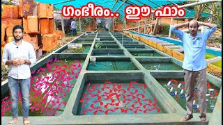 ഗംഭീര ഫാമും വൻ ഡിസ്കൗണ്ടുമായി CK ഫിഷ് ഫാം | New Face CK Guppy farm, Areakode