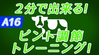 【Daily Eye Training】１回２分！スキマ時間に視力回復！vol.016