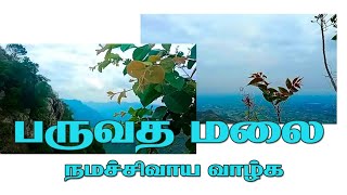 பருவத மலை/வாழ்வின் இனிய தருணங்கள்/@annamrgstudio9597