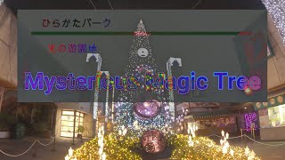 ひらかたパーク[光の遊園地]2020　ミステリアスマジックストリートMysterious Magic Tree