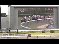 2016年 高松宮記念　現地レース観戦