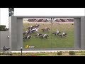 2016年 高松宮記念　現地レース観戦