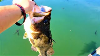 Huge Fish Breaks Rod!!