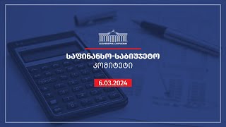 საფინანსო-საბიუჯეტო კომიტეტის სხდომა - 06.03.2024