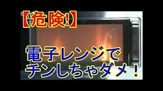 【危険！】 電子レンジでチンしちゃダメ！！