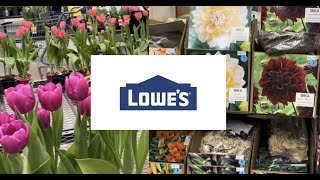Dahlias at Lowes!!!/ March 2023 Inventory/ EDEN ROSE