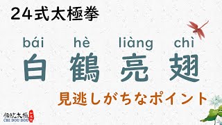 24式太極拳--白鶴亮翅の見逃しがちなポイント/鴻巣築基班/知道堂/劉暎渲