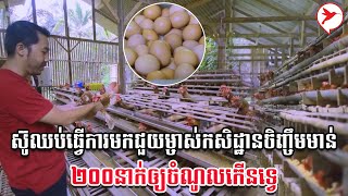 ស៊ូឈប់ធ្វើការមកជួយម្ចាស់កសិដ្ឋានចិញ្ចឹមមាន់២០០នាក់ឲ្យចំណូលកើនទ្វេ | កម្មវិធីកសិកម្ម