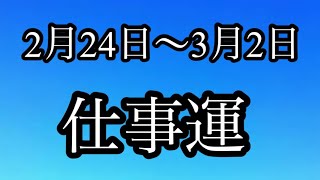 仕事運タロット占い【2月24日〜3月2日】