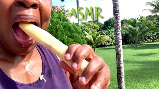 🇯🇲 ASMR - Eating Sugar Cane | GO10LISA