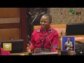 EFF Fighter N.Chirwa