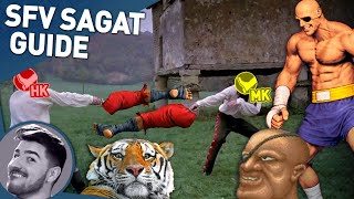 The Complete Guide to Playing SFV Sagat (One Weird Trick That TIGERS Don't Want You to Know)