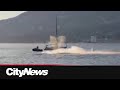 Jet Ski operator crashes into whale near Vancouver's Stanley Park, sparking outrage