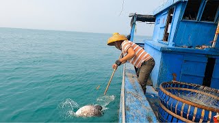 阿彬又从深海抓回一批大货，把码头当市场，100多斤几秒就抢空了