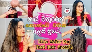 හාල් වතුරෙන් කොන්ඩේ වවන අලුත් ක්‍රමය | Rice Water for Fast Hair Growth - Grow Long hair, Thick hair