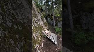 🌲Dropping in! Colin Varanyak in Whistler. #harobikes #haromtb