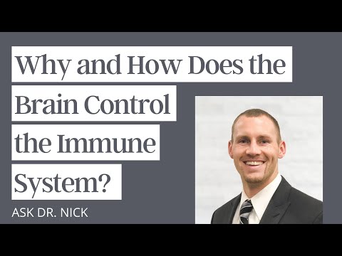 Does the nervous system control the immune system?