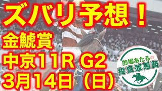 【投資競馬塾】中京11R G2 金鯱賞★ズバリ予想！★令和3年3月14日（日）