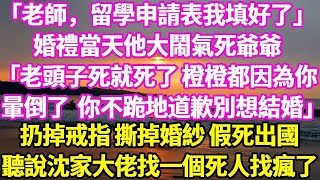 「老師，留學申請表我填好了」婚禮當天他大鬧氣死爺爺「老頭子死就死了，橙橙都因為你暈倒了，你不跪地道歉別想結婚」扔掉戒指 撕掉婚紗 假死出國聽說沈家大佬找一個死人找瘋了#悠然書影#花開富貴#爽文