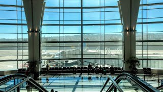 San Francisco International Airport (SFO) | Pandemic Travel Walking Tour Year 2