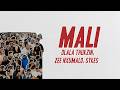 Dlala Thukzin, Zee Nxumalo, Sykes - Mali (Lyrics)