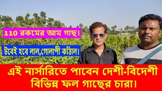 এই নার্সারিতে পাবেন দেশী-বিদেশী বিভিন্ন ফল গাছের চারা।