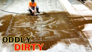 How To Heavily Soiled Carpet Cleaning  |  Satisfying Rug Washing ASMR