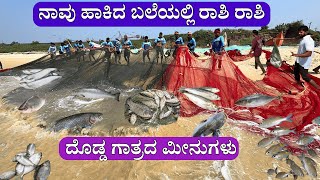 ಕೈರಂಪೋನಿ ಬಲೆಯಲ್ಲಿ ರಾಶಿ-ರಾಶಿ ದೊಡ್ಡ ಗಾತ್ರದ ಮೀನು | Kairampani Fishing in Panambur Beach