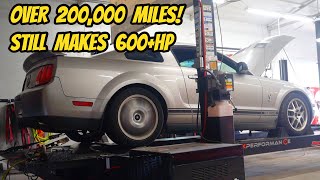 I can't believe this 210,000 mile Shelby GT500 can still pull this HARD (bought