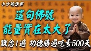 佛菩薩開示：這句佛號，能量實在太大了！每天睡前默念1遍，勝過吃素500天，功德竟99倍的增長 #小沙彌講禪 #佛學