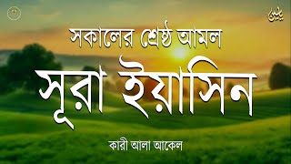 সকালের শ্রেষ্ঠ আমল সুরা ইয়াসিন l Surah Yaseen l amol l سوره يس Record by Alaa Aqel