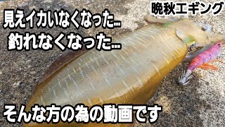 【エギング】秋イカ釣れなくなった。心配いりません！楽しいのはこれからです。大分エギング。晩秋エギング