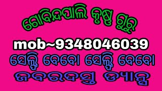 ଗୋବିନ୍ଦପାଲି କୃଷ୍ଣ ଗୁରୁ  ସେଲ୍ଫି ବେବୋ ସେଲ୍ଫି ବେବୋ