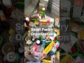 Dollar Tree Bins Really Help To Organize & Declutter My Small Pantry!