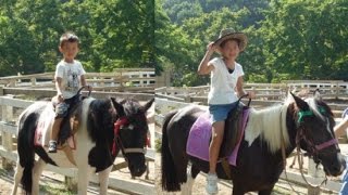 横浜 こどもの国 引き馬 ポニー