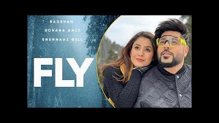 Fly Song Teaser ll Shehnaaz Gill, Badshah ll song review and feedback