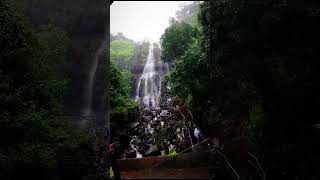Amboli Falls | Amboli Ghat #goa #amboliwaterfall #ambolighat #shorts
