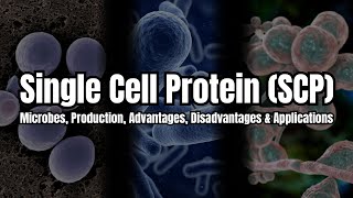 Single Cell Protein (SCP) Explained | Sources, Production, Uses & Applications | Food Microbiology