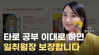 안보면 손해! 타로 실력 초고속 성장 시켜줄 타로 공부법 3가지