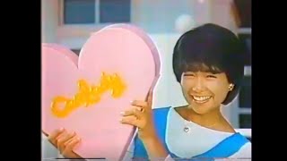 CM 堀ちえみ 江崎グリコ キャンレディー 1982年 お菓子