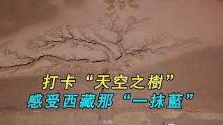 Vanlife房車自駕遊西藏，阿里北線途徑天空之樹，帶你感受西藏的馬爾代夫，晚上露營當雄縣Vanlife Touring Tibet Ali North Line via the Sky Tree