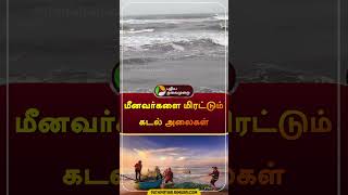 மீனவர்களை மிரட்டும் கடல் அலைகள் | #schoolleave  #cuddalorerain #cyclonefengal #rain #shorts