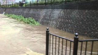 2013年10月　越戸川の合流点の１８号台風大雨の状況