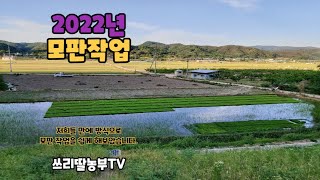 2022년 모판 만들기#모내기#모자리#볍씨파종기#자동파종기