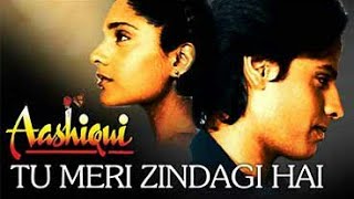 Tu Meri Zindagi Hai video full Song, Title Tu Meri Zindagi Hai Movie Aashiqui (1990)