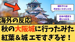 【海外の反応】秋の大阪城に行ってみた！紅葉＆城エモすぎるぞ！