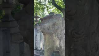 戎神社⛩️朝参拝　狛犬さんに現れた龍神様のウロコがすごい😳見るだけで開運🌅